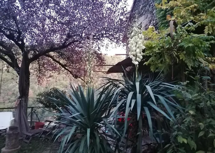 Francois Bevort Itival Broquies