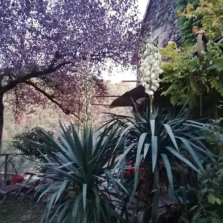 François Bevort Itival Broquies